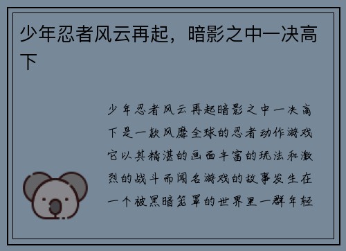 少年忍者风云再起，暗影之中一决高下